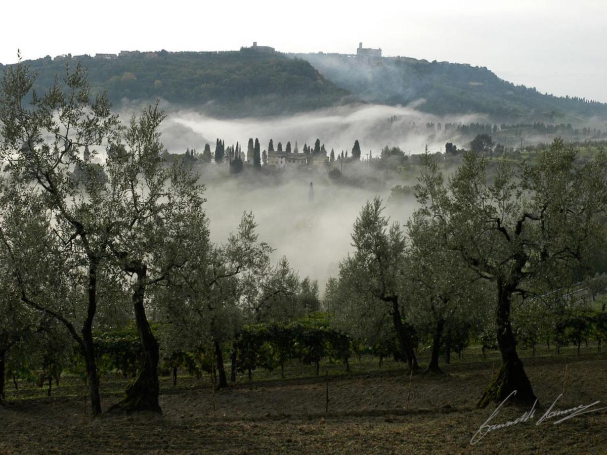 Holiday Home La Voce Del Silenzio By Interhome Volterra Exteriör bild